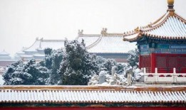 故宫停车最新爆料,限时段、限车型，停车体验大变样